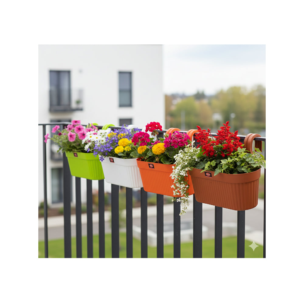 Vessel Dual-Hook Wall Hanging Planter (Set of 3)