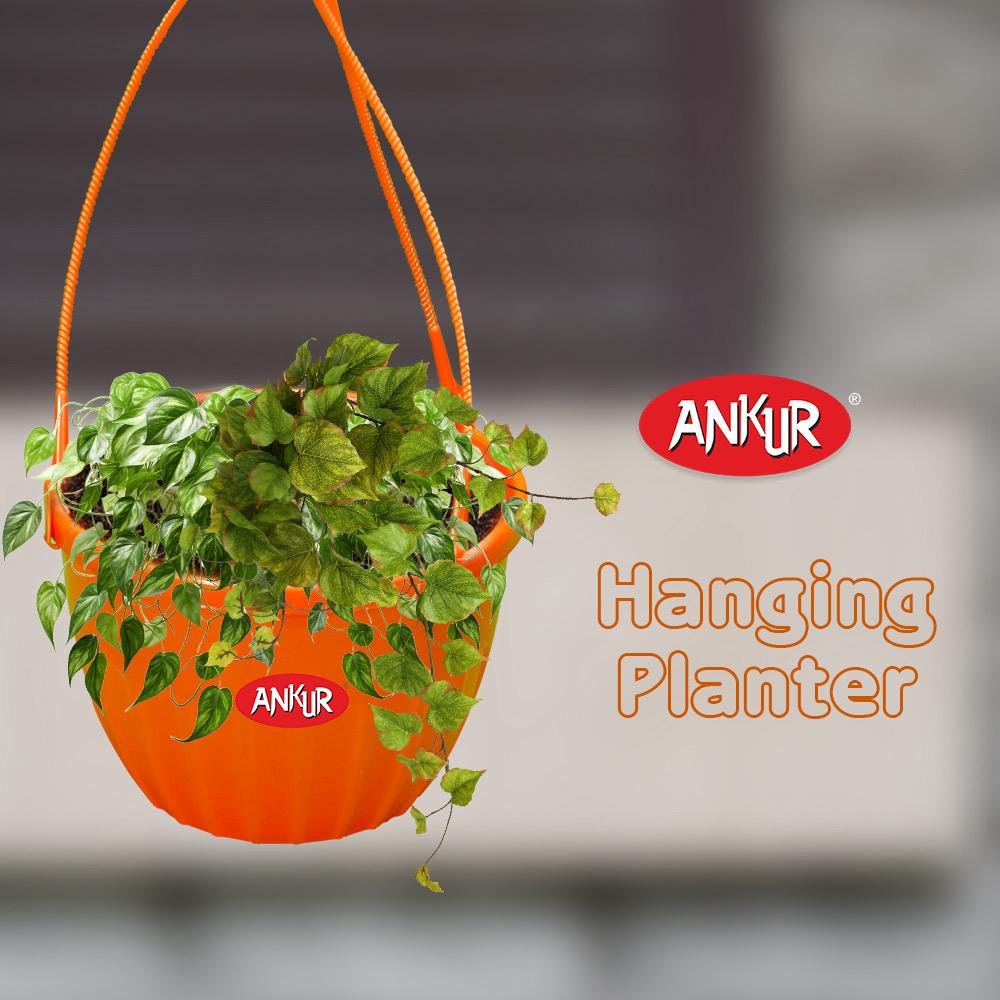 Hanging Planter (Set of 3)