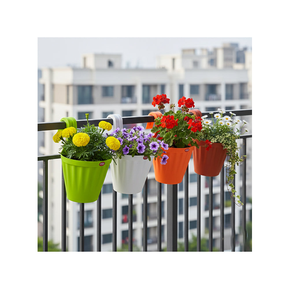 Vessel Single-Hook Wall Hanging Planter (Set of 6)